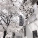 ʚ‧₊˚.ᡣ Sᥱɾιτɦყ ༉‧₊˚.ɞ