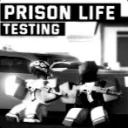 Prison Life Testing Public Affairs