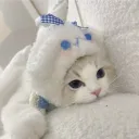 CAT ♡ .gg/kitty