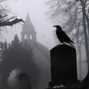 ＧＲＡＶＥＹＡＲＤ Discord server icon