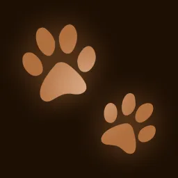 The Fetch Zone ๐พ๐ฆด