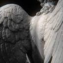 Wings Of Wax