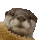 ottaland Discord server icon