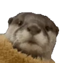 ottaland Discord Server Icon