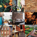 THE WAYSTATION Discord server icon