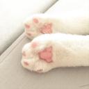/catpaw avatar