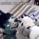 pawjob /bbqQ2U3aBj