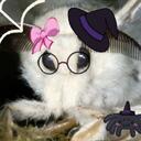 MOTH HEAVEN icon