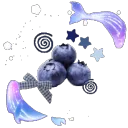 ⋆  ｡  ˚   ☁   ˚  ｡ Blueberry⋆  ｡  ˚  ☽  ˚  ｡ ⋆