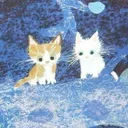 cats in the cold