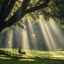 Solithalis || .gg/solithalis Discord server icon