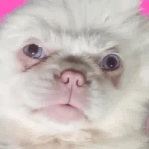 πγ»Bar ST ~ Comunidad ~ Sticker β ΠΌΠΎΠ½ΠΈΡΠΎΡΠΈΠ½Π³ Discord ΡΠ΅ΡΠ²Π΅ΡΠ°, ΡΡΠ°ΡΠΈΡΡΠΈΠΊΠ° ΠΈ ΡΠ΅ΠΉΡΠΈΠ½Π³