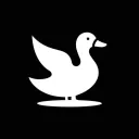 DUCKGANG • CHAT •  SOCIAL
