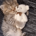 🎩  A Femboy Safe Space