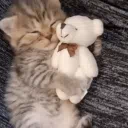 🎧 A Femboy Safe Space