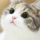 왜 클릭함? 달달하네 ㅎ.. banner