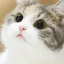 왜 클릭함? 달달하네 ㅎ..