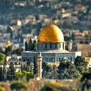 PAL | .gg/tadfi banner