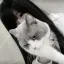/wendy