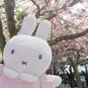 .gg/glamcore | ₍ᐢᐢ₎