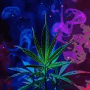 weed