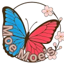 Moe Moe's