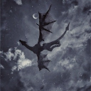 way of the dragons. Discord server icon