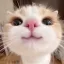 ̇ഒ