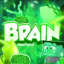 Brain Private Server