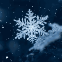 SNOW⛄🎿 (SNOW TAG) icon