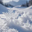 SNOW⛄🎿 (SNOW TAG) banner