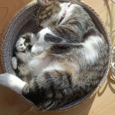 Buy One Get One Discord server icon