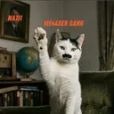 Me4ader Gang