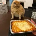 pizza party