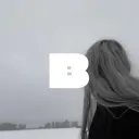 Boulevard𑣲 | Social | Nitro | Vcs