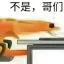 『不是哥們』DGS弦樂式