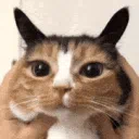 FemboySmp | Gay & Trans Minecraft Server