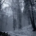 gds ⛄