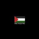 PLST #🇵🇸