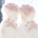 kitpaws ♡₍^. .^₎⟆ avatar