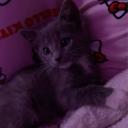 @meow tag | .gg/huzz avatar
