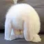 miffy | revamping