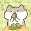 kiwi 🥝 ˚୨୧⋆