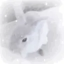 dove guild