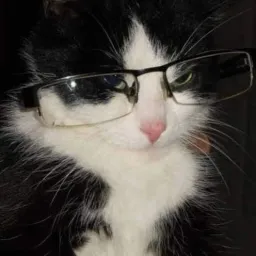 3uffer0verfl0w.tag (🔴Disconnect!)