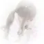 ୨୧
