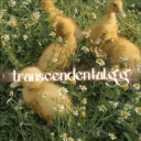 Transcendental avatar