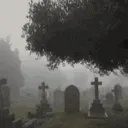 XP