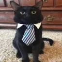 StiX's Business HQ