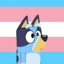 safe haven Discord server icon